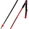 Rossignol Hero GS/SG Poles 2 Rossignol Hero GS/SG Poles -Vendite XSPO SPORTS 22 hero gs sg RDL1020