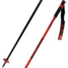 Rossignol Hero SL Poles 2 Rossignol Hero SL Poles -Vendite XSPO SPORTS 22 hero sl RDL1030